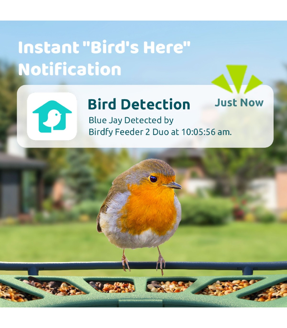 Mangeoire Oiseaux Connectée Birdfy 2 Pro - Double Caméra 2K - Détection Automatique - Solaire - App