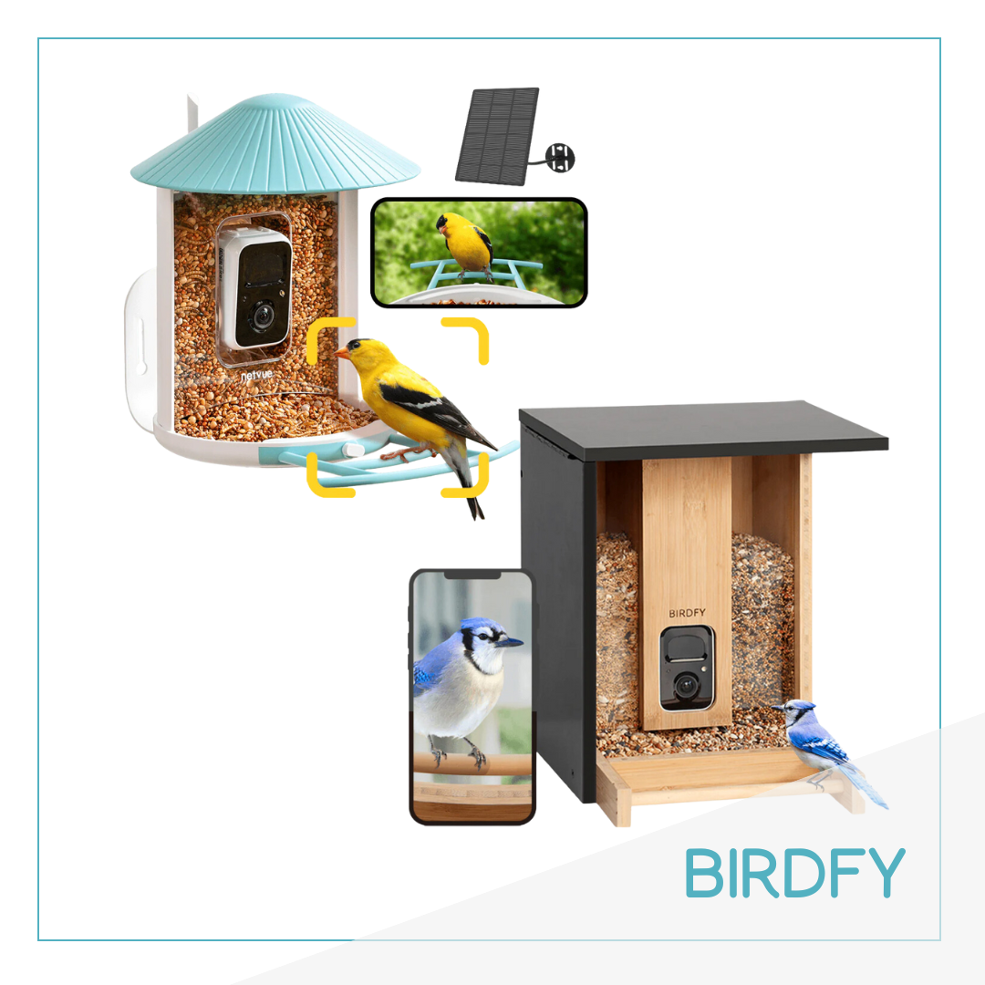 Mangeoires connectées Birdfy